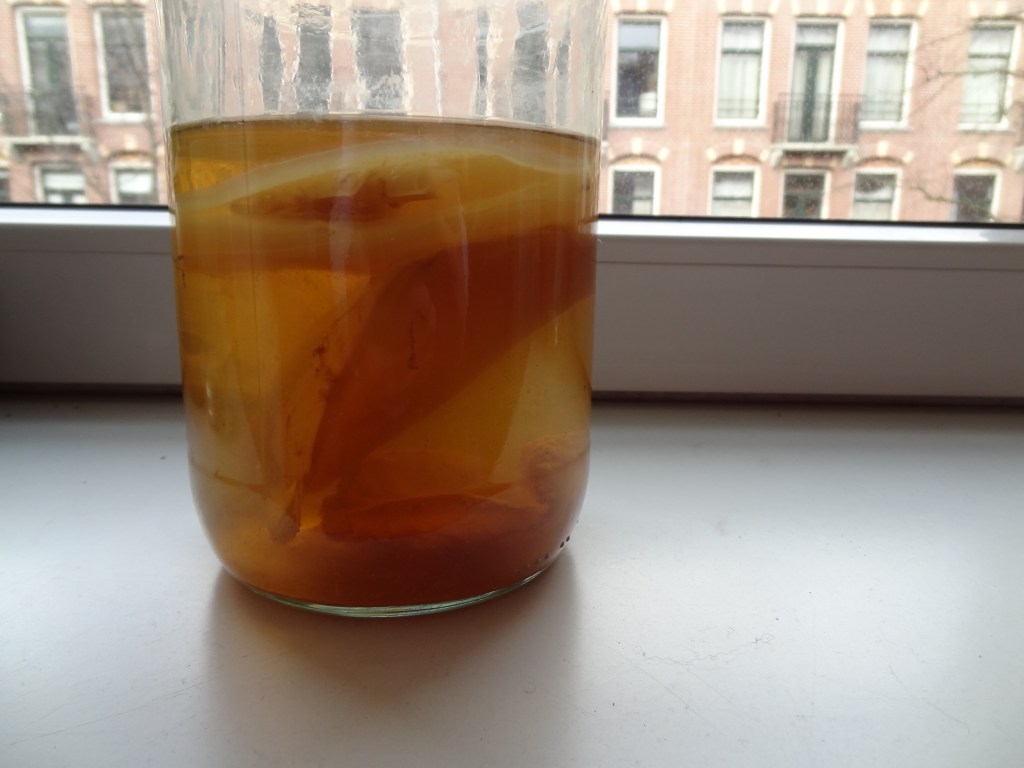 Moeder! Wat drijft er nu weer in mijn&nbsp;komboecha?