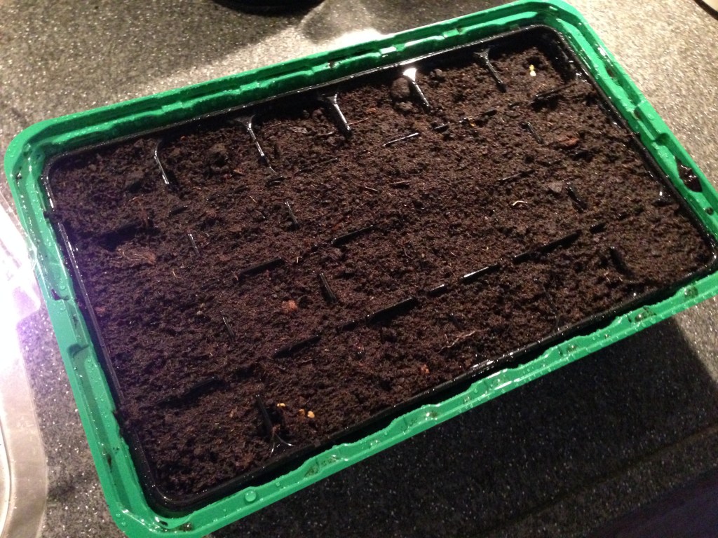 De pepers van&nbsp;Jelle