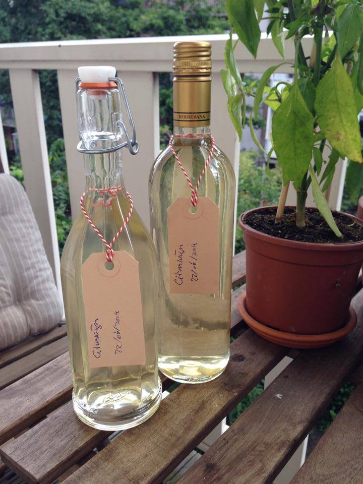 Zelf maken: Citruswijn