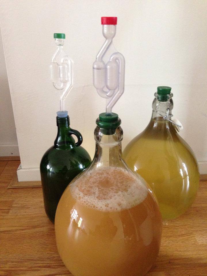 In de maak: appel- en perencider met&nbsp;cidergist